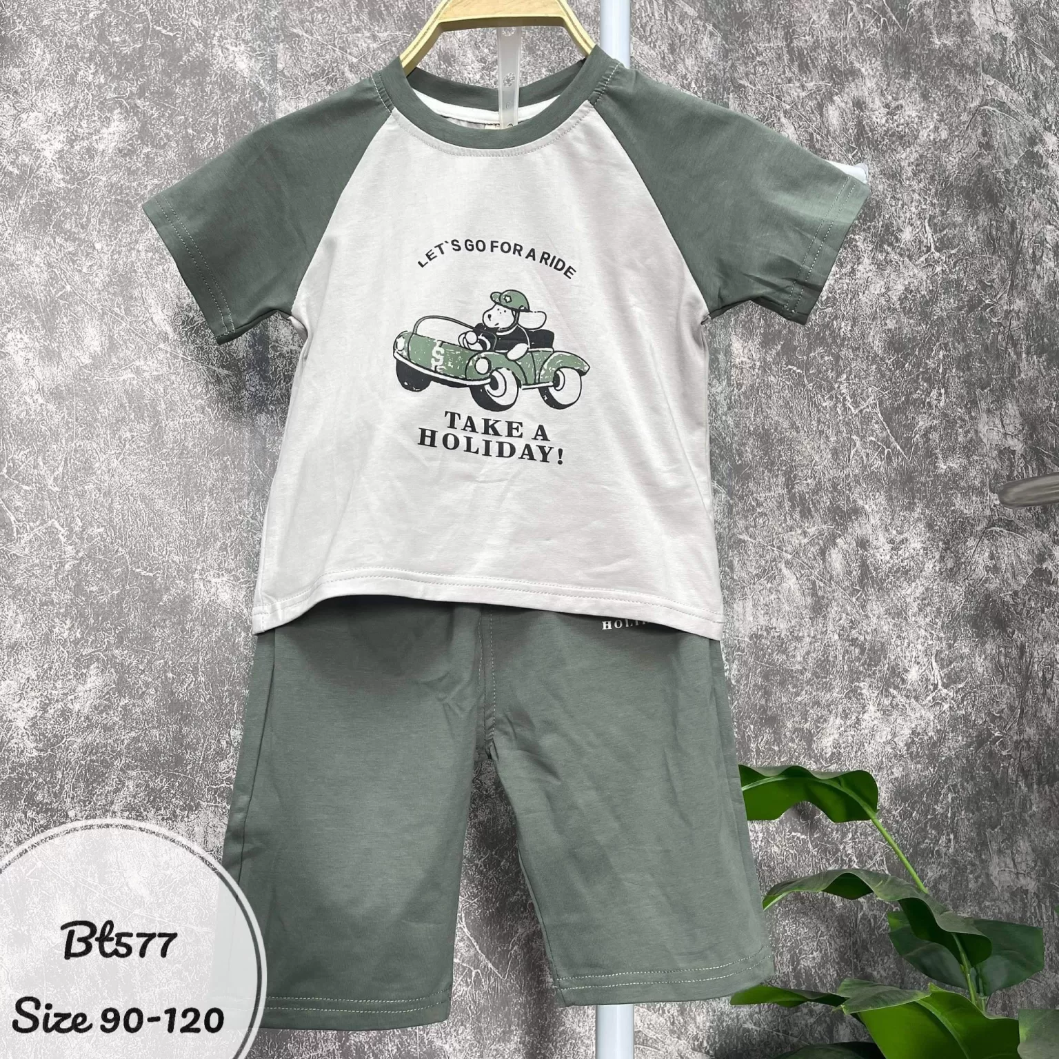 Bt577 (3) - Copy