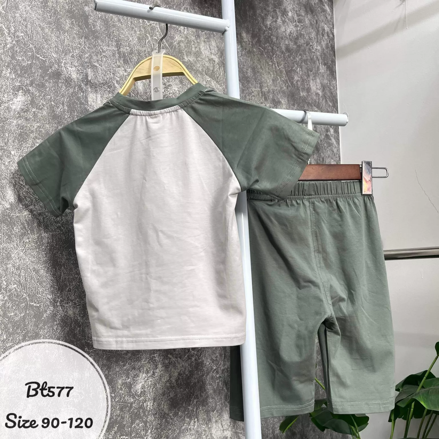 Bt577 (5) - Copy