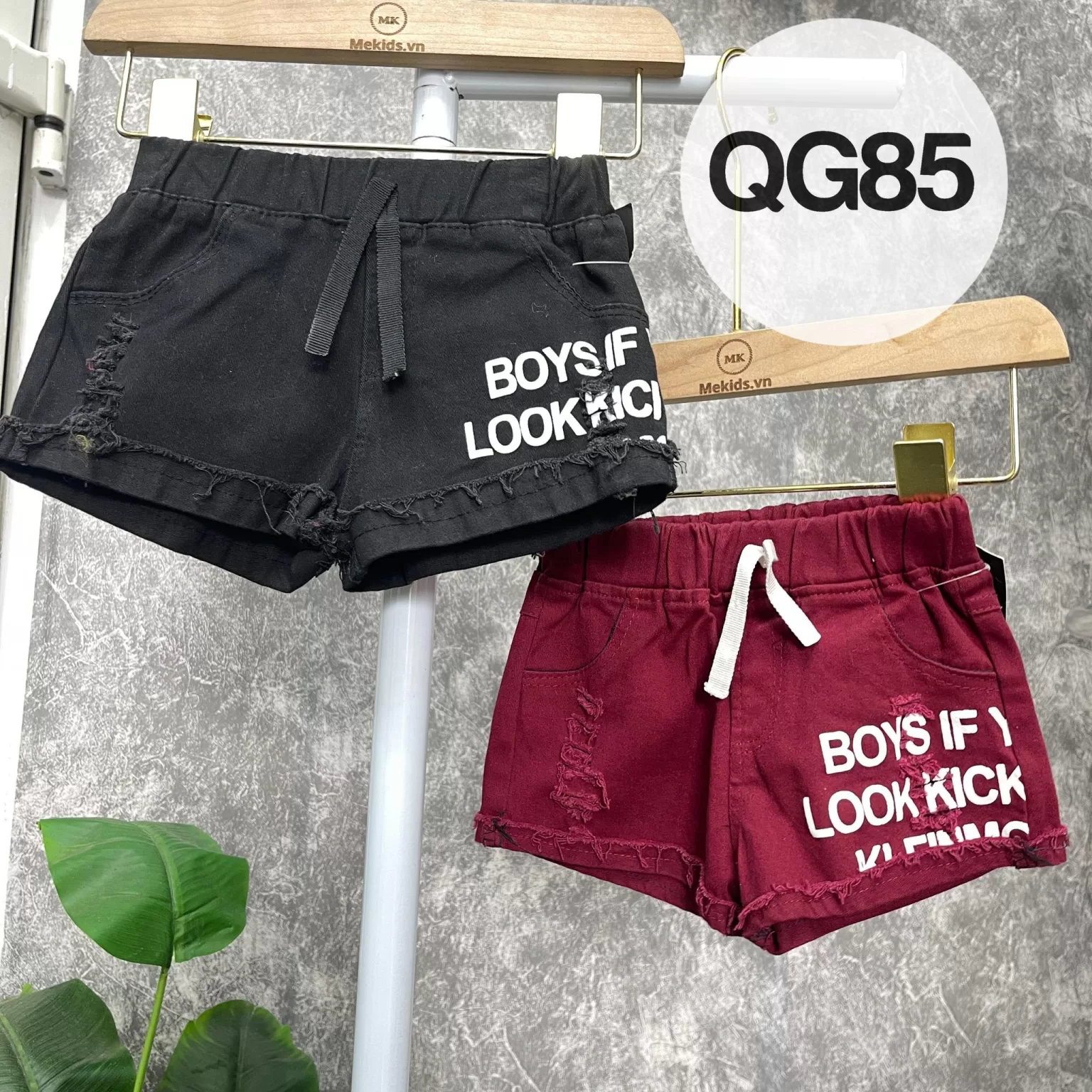 Qg85.1