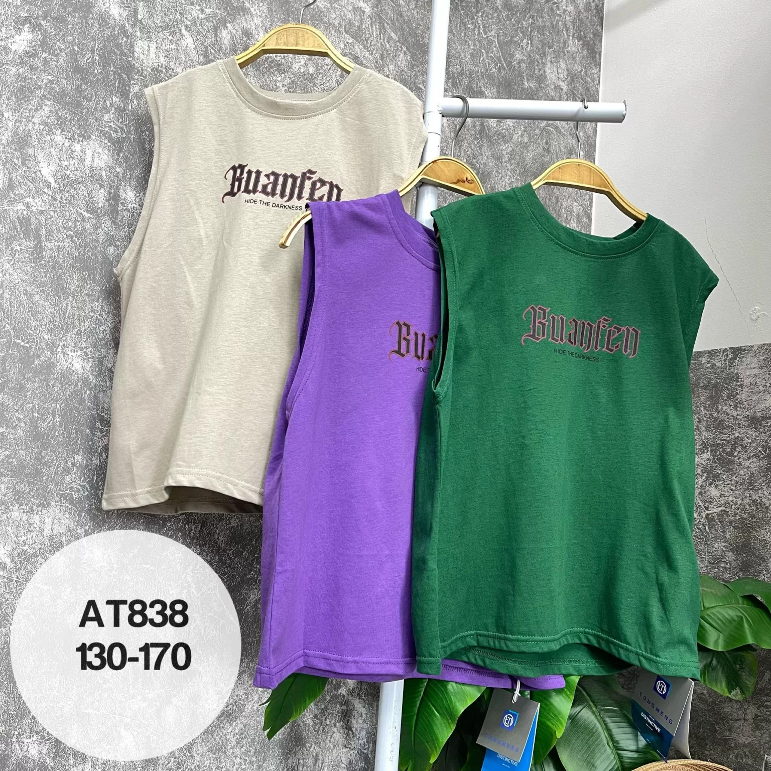 At838 (4)